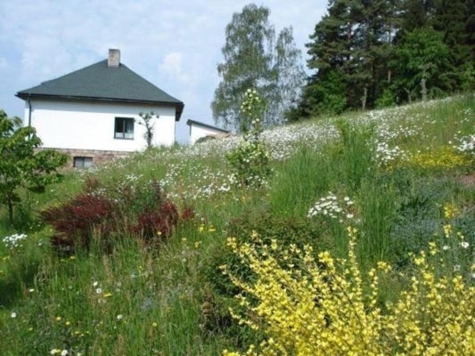 Ein Ferienhaus Mit Terrasse Und Garten Villa Male Svatonovice Exterior photo